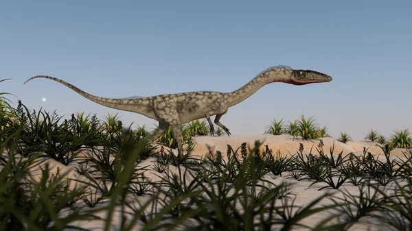 A coelophysis séta — Stock Fotó