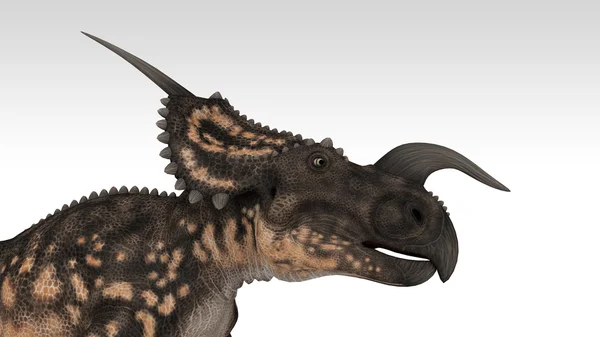 Einiosaurus — Stock Photo, Image