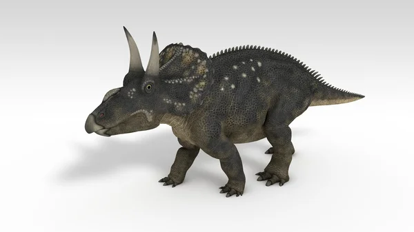 Diceratops (triceratops) — Φωτογραφία Αρχείου