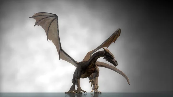 Kahverengi dragon — Stok fotoğraf