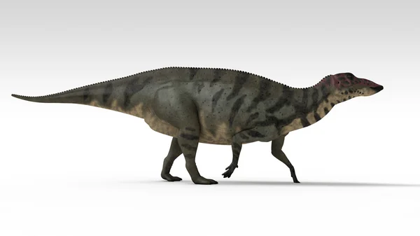 Shuangmiaosaurus — Stok fotoğraf