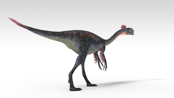 Gigantoraptor — Stok fotoğraf