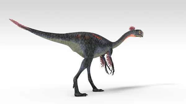 Gigantoraptor — Foto de Stock