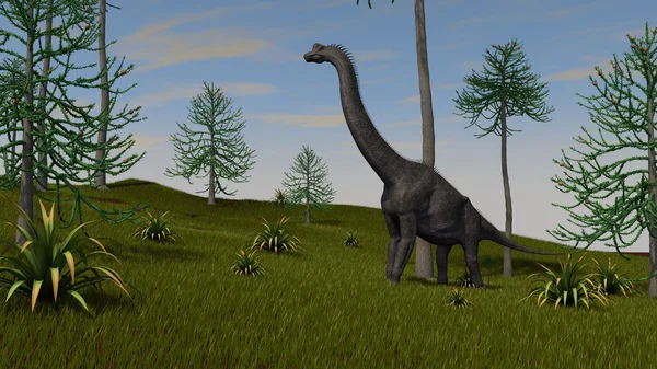 Brachiosaurus walking on hill — Stock Photo, Image