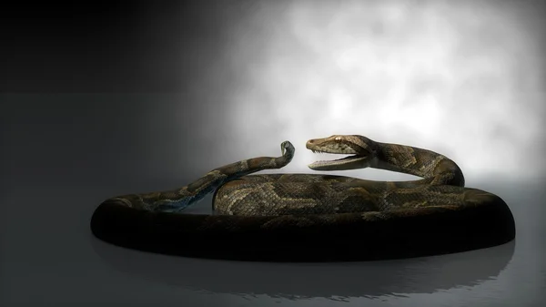 Python na água — Fotografia de Stock