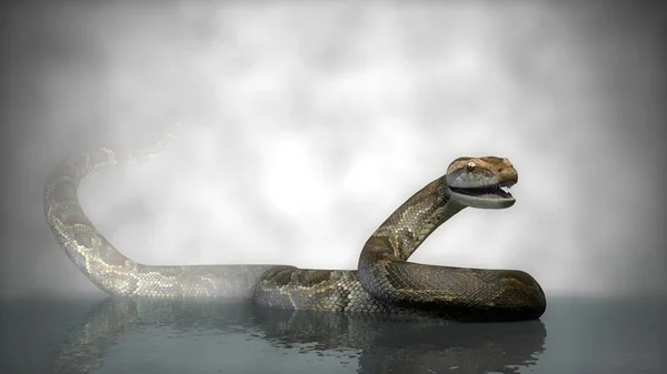 Python in water — Stockfoto