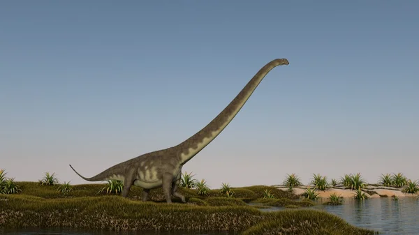 岸にマメンチサウルス — ストック写真