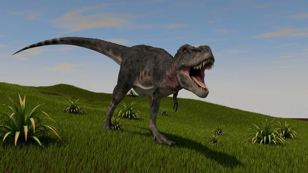 Tarbosaurus บนเนินเขาหญ้า — ภาพถ่ายสต็อก