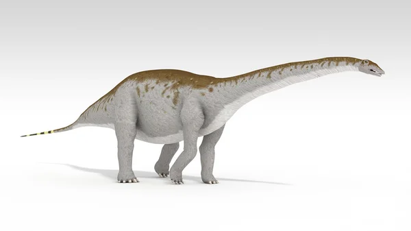 Apatosaurus — Stock Photo, Image