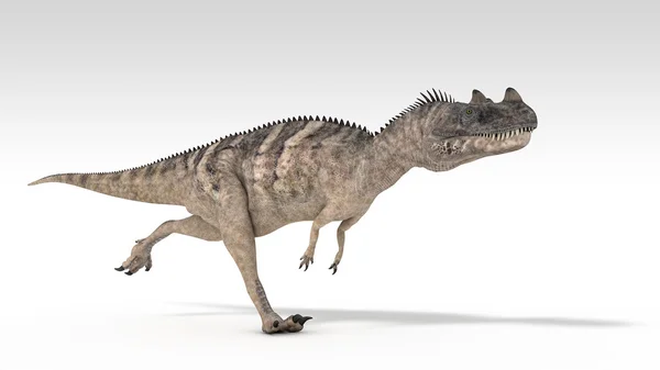 ケラトサウルス — ストック写真