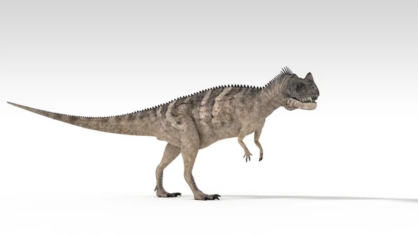 Ceratosaurus — 스톡 사진