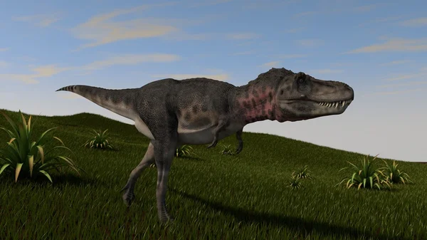 Tarbosaurus på gräsbevuxen kulle — Stockfoto