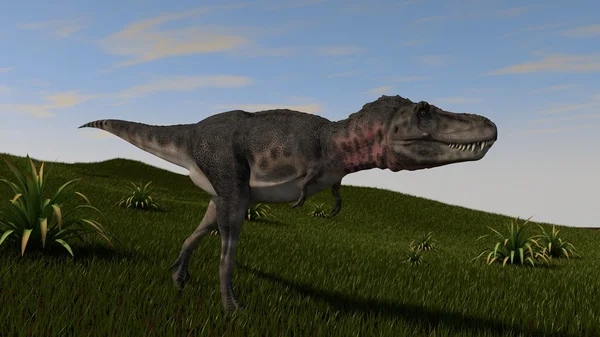 Tarbosaurus on grassy hill — Stock Photo, Image