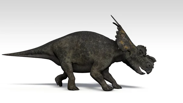 Achelousaurus — стокове фото