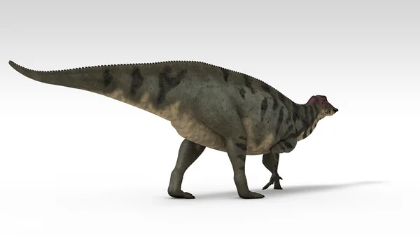 Shuangmiaosaurus — Stock Photo, Image