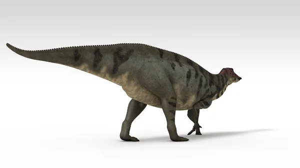 Shuangmiaosaurus — Stockfoto