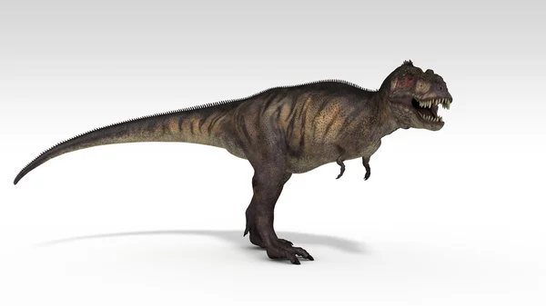 Tyrannosaurus — стокове фото