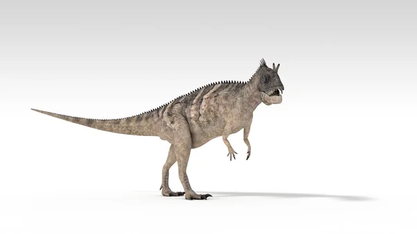 Ceratosaurus — 스톡 사진