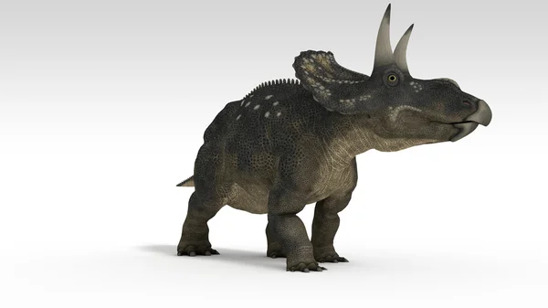 Diceratops (triceratops) — Fotografia de Stock