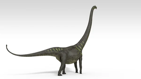 Mamenchisaurus — Stock Photo, Image
