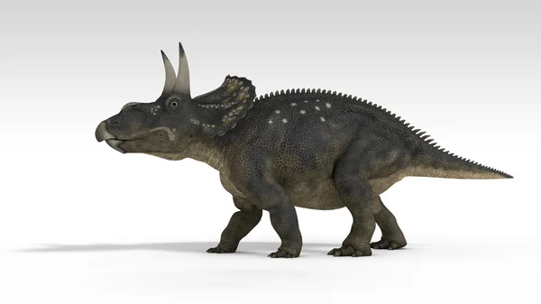 Diceratops (triceratops) — Stockfoto