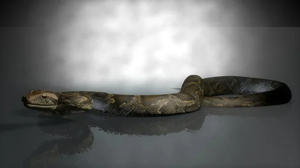 Handgezeichnete Skizze Eines Fantastischen Reptils Vor Grauem Hintergrund — Stockfoto
