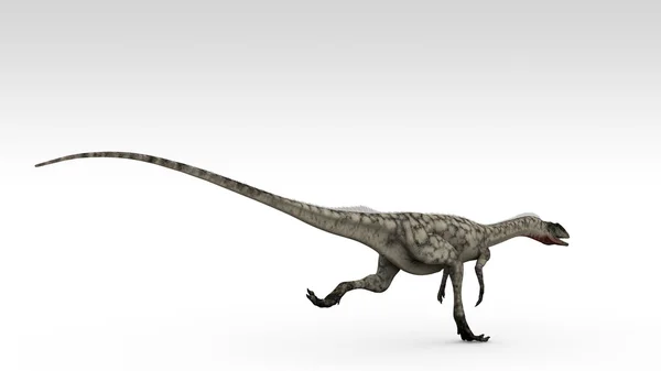 Coelophysis — стокове фото