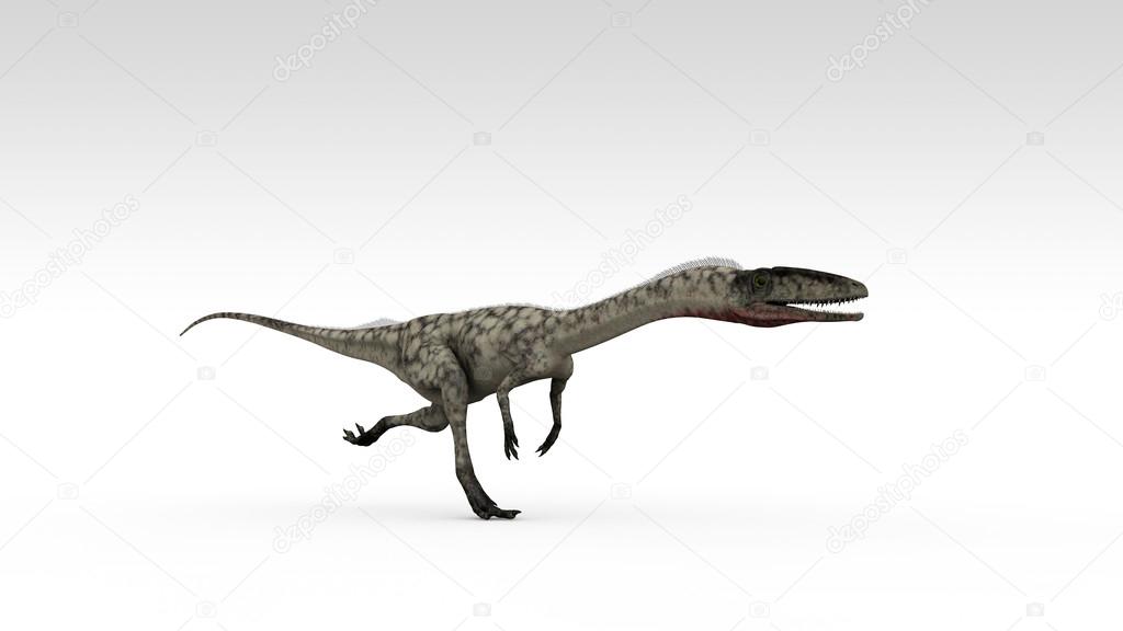 coelophysis