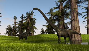 iki mamenchisaurus