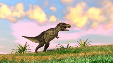 Tyrannosaurus t-rex