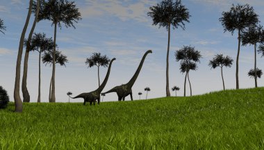 iki mamenchisaurus