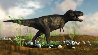 yangchuanosaurus