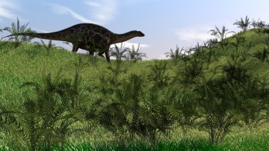 Dicraeosaurus yürüyüş