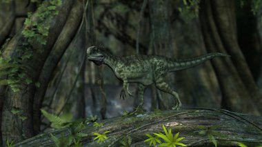 monolophosaurus dinozor