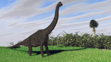 Brachiosaurus dinozor