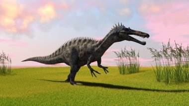 suchomimis dinozor