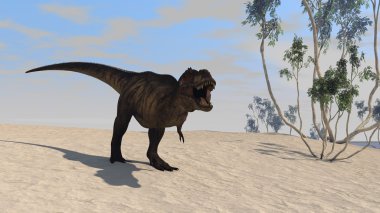 Tyrannosaurus t-rex