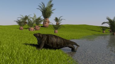 Antik cotylorhynchus