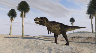 Tyrannosaurus t-rex