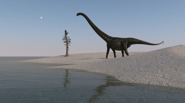 Mamenchisaurus dinozor