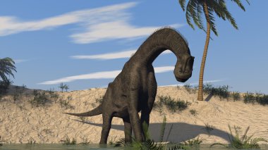 Brachiosaurus dinozor
