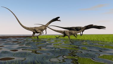dinozorlar coelophysis