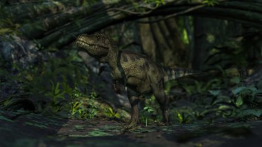 Tyrannosaurus t-rex