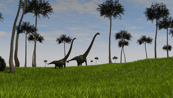 Two mamenchisaurus