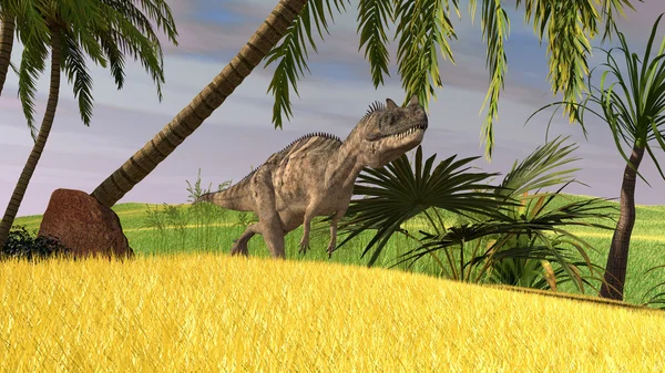 Ceratosaurus dinosaur — Stock Photo, Image