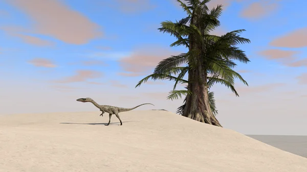 Coelophysis dinosaure — Photo