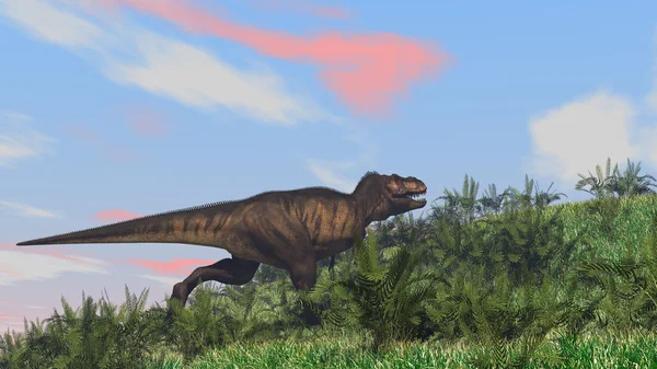 Förhistoriska tyrannosaurus t-rex — Stockfoto