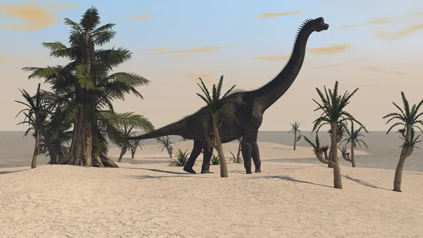 ギガント ブラキオサウルス恐竜 — ストック写真