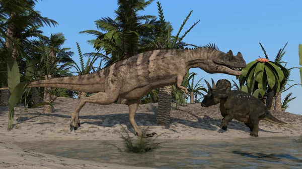 Ceratosaurus und Diceratops-Dinosaurier — Stockfoto
