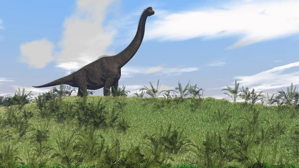 Brachiosaurus динозаврів — стокове фото